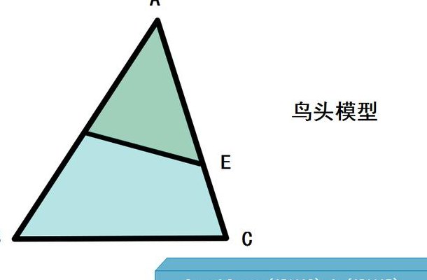 模型的意思（模型的意思是什么简单）