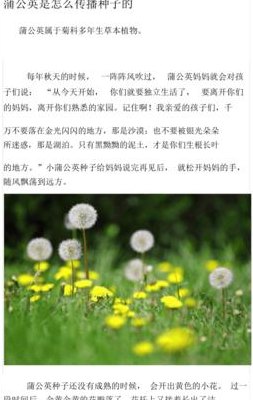 植物传播种子的方法有哪些?二年级（植物传播种子的方法有哪些?二年级蒲公英）
