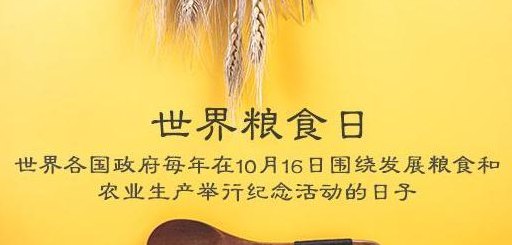 世界粮食日是每年的几月几日（世界粮食日是每年的几月几日2022年粮食日主题）