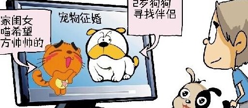 宠物婚介网(宠物伴侣匹配平台)