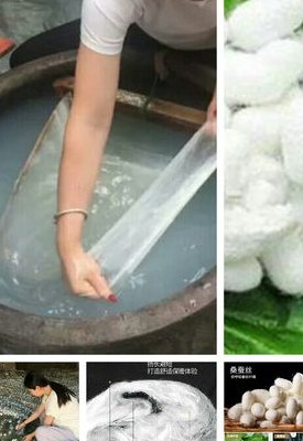 蚕茧抽丝(蚕茧从自然到丝绵)