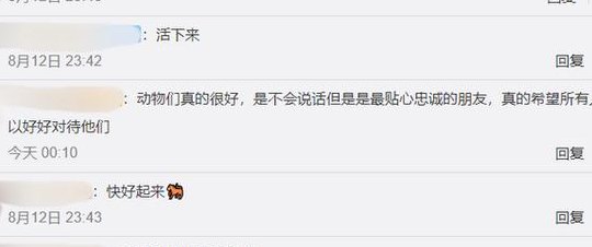获救者妈妈哭诉致歉救命恩马(被救者母亲深情道谢 )