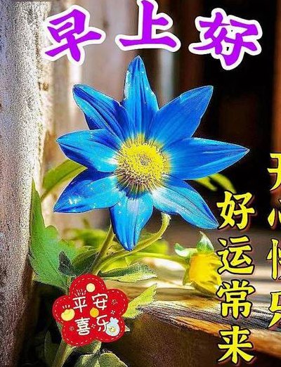 宛如 喜了(充满喜悦的一天)