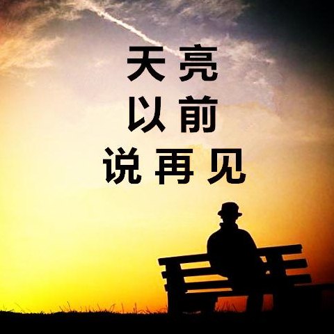 天亮以前说再见(天未亮就告别)