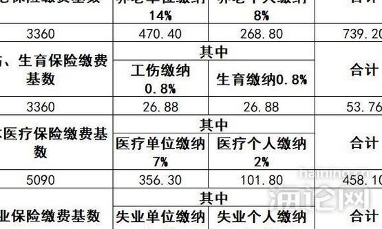 养老金缴费比例(调整养老金缴费比例)