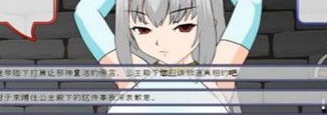 追查皇女的行踪（皇女询问）
