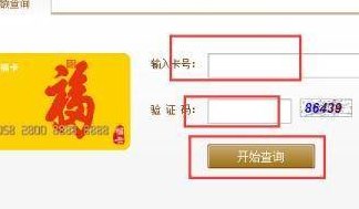 福卡余额查询（福卡余额查询网址www）