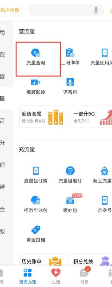 怎么查询手机流量（怎么查询手机流量使用记录）