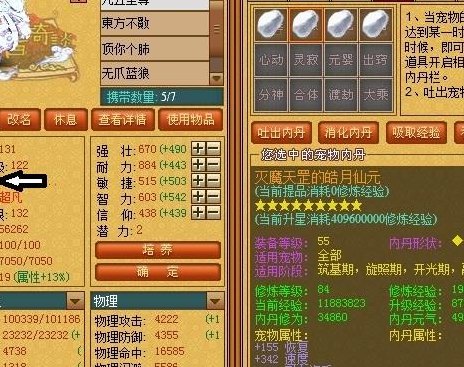 天书奇谈小金龙（天书奇谈小金龙技能）