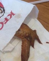 肯德基的鸡（肯德基的鸡翅是一只鸡长了几个翅膀图片）