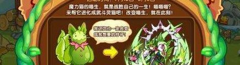 洛克王国武斗酷猫（洛克王国武斗酷猫超进化在哪里）