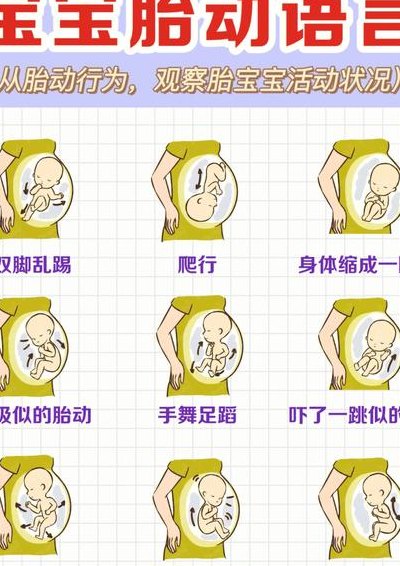 宣花坠怎么得（怀孕20周胎动在肚脐下面正常吗）