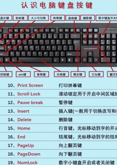 电脑键盘功能（电脑键盘功能大全图解）