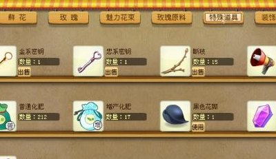 玫瑰小镇洗点石（玫瑰小镇任务攻略）