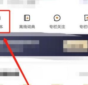 有道词典发音（有道词典发音设置）