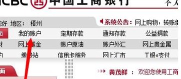 工行汇款（工行汇款额度查询）