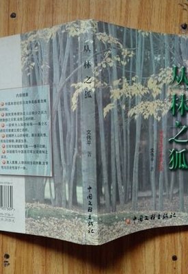 丛林之狐（丛林之狐是谁）