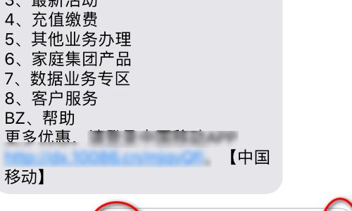 移动怎么查流量（移动查流量发什么短信到10086）