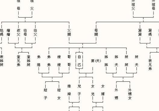 亲戚关系图表（亲戚关系图表_中国亲戚关系表）