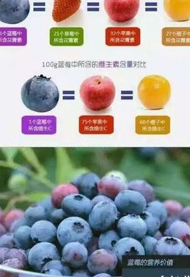 蓝莓好处（蓝莓好处图片）