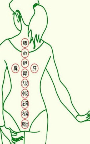 拔火罐湿气重的图片（拔火罐祛湿的最佳部位图片）
