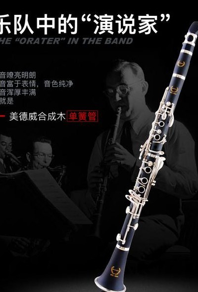 黑管是什么乐器（黑管是什么乐器组）