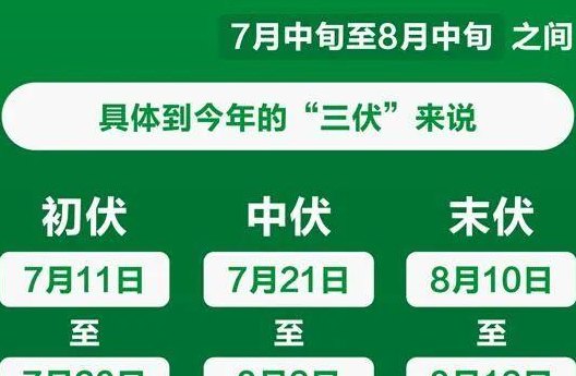 2019年哪天入伏（2019年入伏时间表图片）