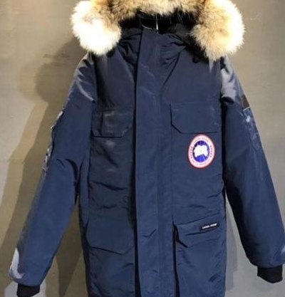 大鹅羽绒服官网（意大利大鹅羽绒服官网）