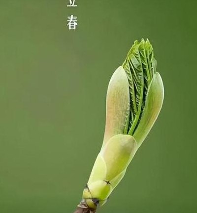 躲春是什么意思（立春要躲春是什么意思）