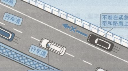 路肩是什么意思图解（高速路肩是什么意思图解）