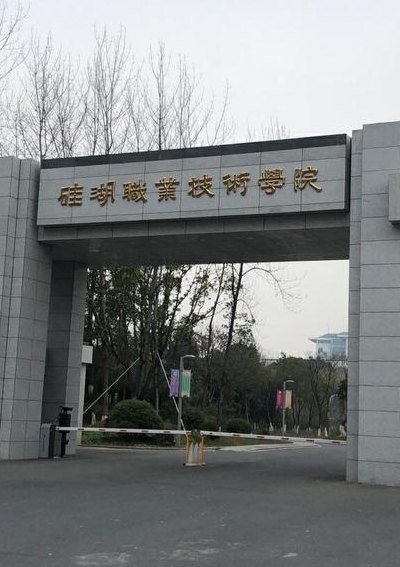 硅湖职业技术学院教务系统（硅湖职业技术学院教务系统父母信息完善处在哪）
