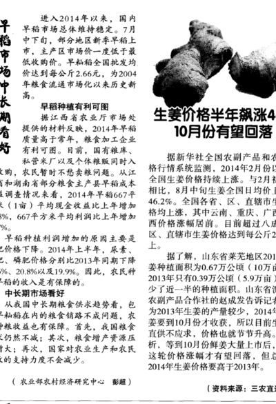 莱芜生姜最新价格（莱芜生姜最新价格今天）