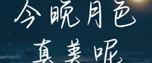 今晚夜色真美什么意思（今晚夜色真美什么意思哦）