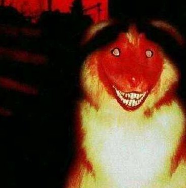 微笑狗真正原图（微笑狗真正原图 吓人）