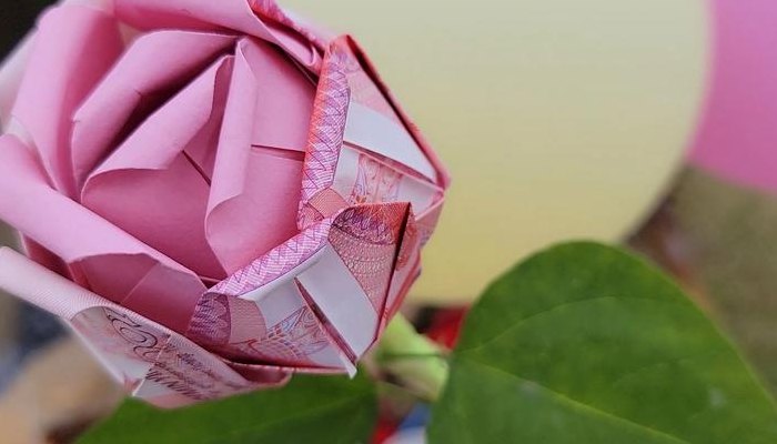 钱怎么折玫瑰花（钱怎么折玫瑰花简单的）