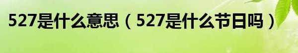 527代表什么意思（5274啥意思）