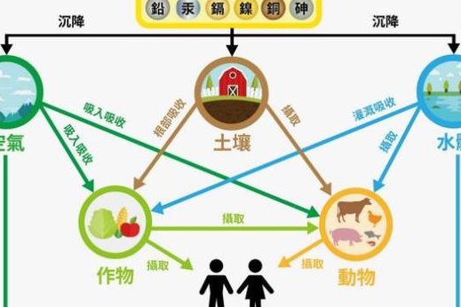 重金属污染的主要来源（重金属污染的主要来源有哪些）