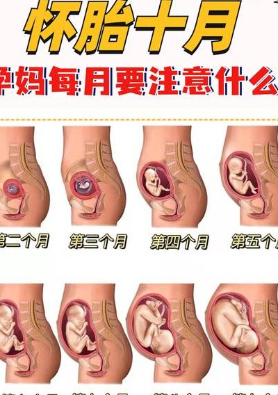 女生怀孕一个月有什么症状（怀孕一个月不到有什么症状）