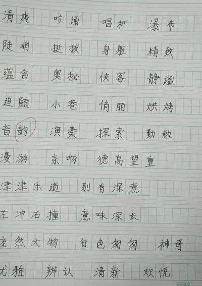 虽可以组什么词（虽可以组什么词儿）