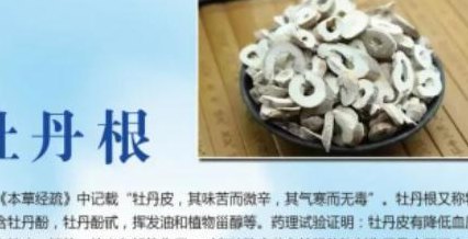 丹皮的功效与作用（丹皮的功效与作用及禁忌）