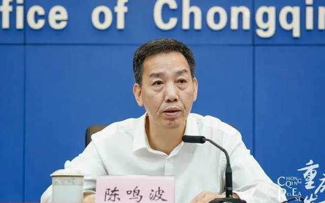 重庆书记（重庆书记被抓是谁）