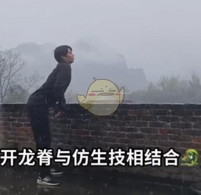 开龙脊是什么意思（开龙脊是什么意思?）