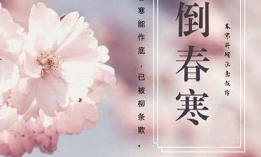明天几点打春（2024几点打春几点立春）