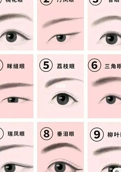 眼形的分类图解（眼型分类图片大全）