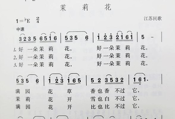 乐谱怎么看简谱入门（乐谱怎么看简谱入门书）
