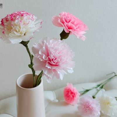 手工皱纹纸做康乃馨花（皱纹纸做康乃馨花束）