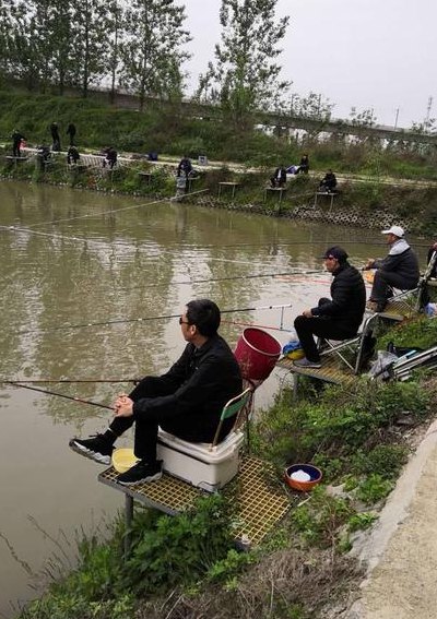 河南钓鱼论坛（河南钓鱼高手）