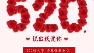 520是什么意思（520是什么意思爱情数字）