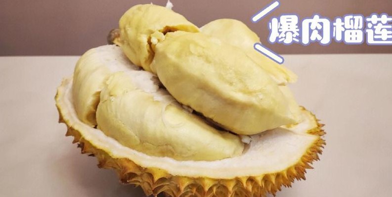 榴莲怎么挑选肉多好吃（榴莲怎么挑选肉多饱满的）