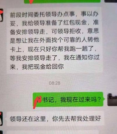 领导玩我的奶的简单介绍